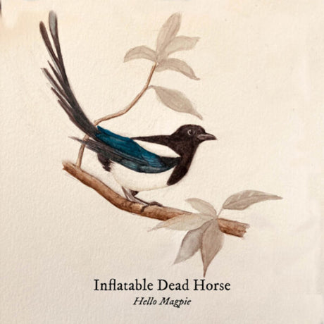 the album cover for Inflatable Dead Horse - Hello Magpie