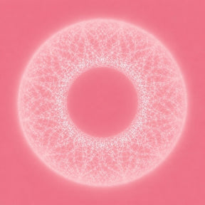 the album cover for Merzbow & Pedro Vian - Bardo Thodol