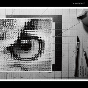 the album cover for Sakanaction - Adapt (180g/2lp)
