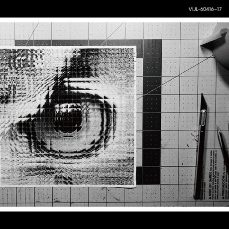 the album cover for Sakanaction - Adapt (180g/2lp)