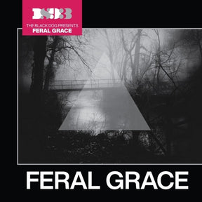 the album cover for Black Dog - Feral Grace