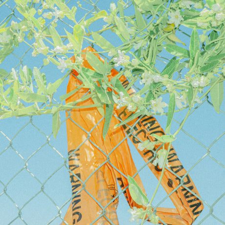 the album cover for Lockstep - I Know What I Saw