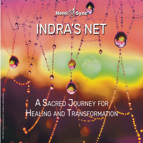 the album cover for Various Artists - Indra's Net