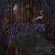 the album cover for Florist - Adrift