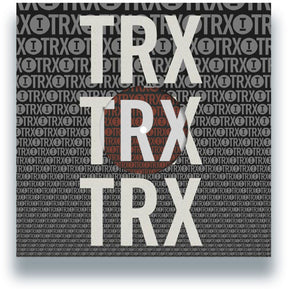 the album cover for Various Artists - Toolroom Trax Sampler Vol. 4