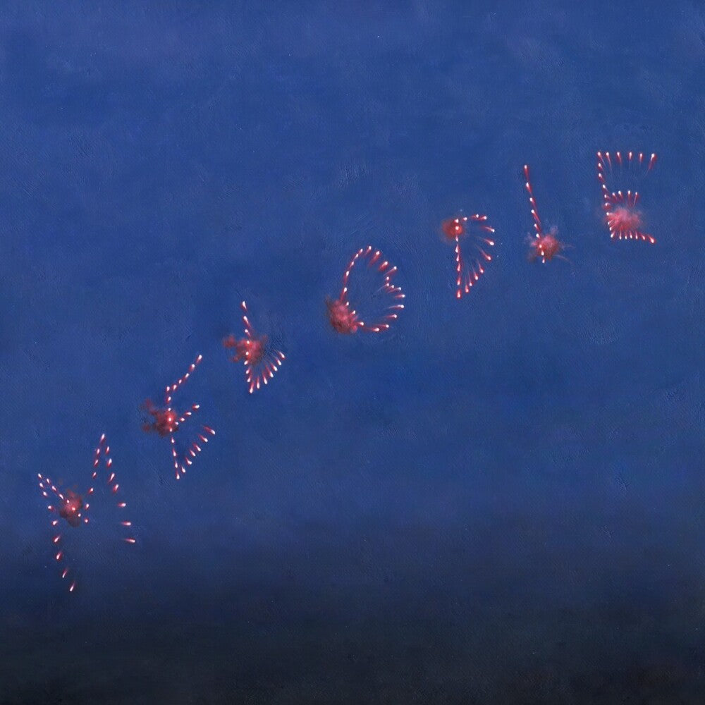 the album cover for Slow Pulp - Melodie [Black]