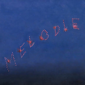 the album cover for Slow Pulp - Melodie [Black]