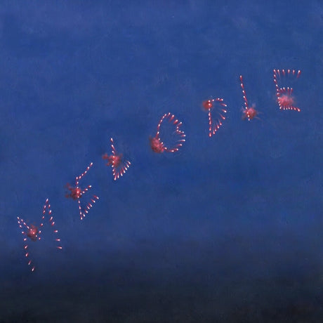 the album cover for Slow Pulp - Melodie