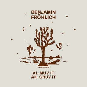 the album cover for Benjamin Frohlich - Muv It