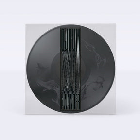 the album cover for Djrum - I Wander [Picture Disc]