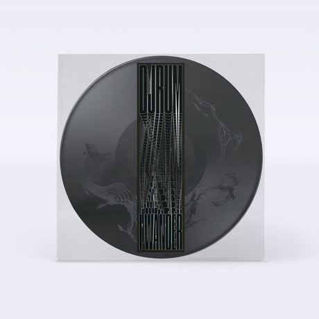 the album cover for Djrum - I Wander [Picture Disc]