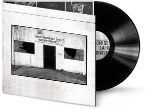 the album cover for Temperance Movement - New Promise Land Incorporated