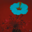 the album cover for John Beltran - Sunrise & the Way We Live [2LP]
