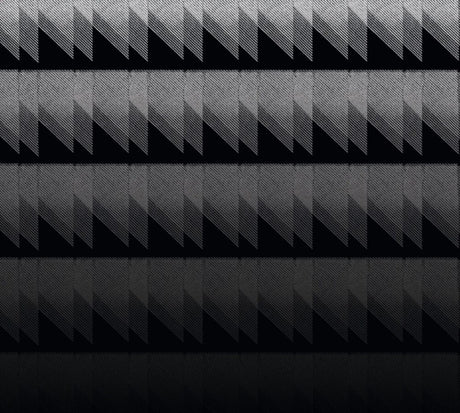 the album cover for Eliane Radigue - Adnos I-Iii (2026 Edition)