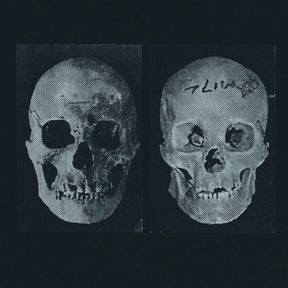the album cover for Government Alpha - Human Race Was Restored To Life Repeatedly