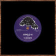 the album cover for Moon Boys / Pioneers - Appolo 11 / Love Love Everyday [Reissue]