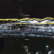 the album cover for Gilla Band - Pugnello [Black]