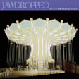 the album cover for Jawdropped - Secret To Spare