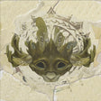 the album cover for Yaelokre - Origins (Ep) [Limited Edition]