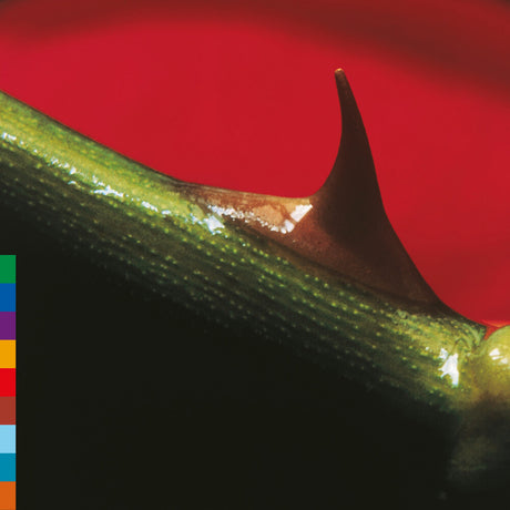 the album cover for Nusrat Khan  Fateh Ali / Brook,Michael - Night Song - Green [Colored Vinyl] (Grn) (Aniv) [Reissue]
