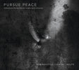 the album cover for Amy Hillis - Pursue Peace -Contemporary Chamber Music Canadian