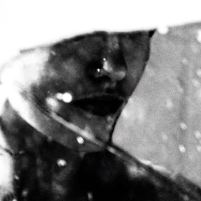 the album cover for Purgate - Leavings