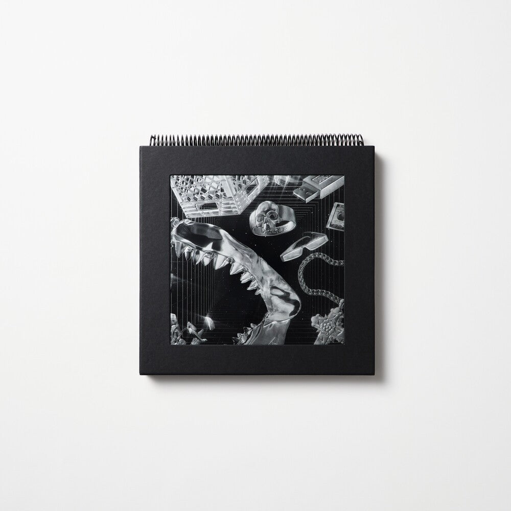 the album cover for Lex XX - Lex XX [180 Gram + Book]