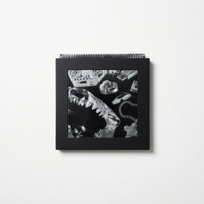 the album cover for Lex XX - Lex XX [180 Gram + Book]