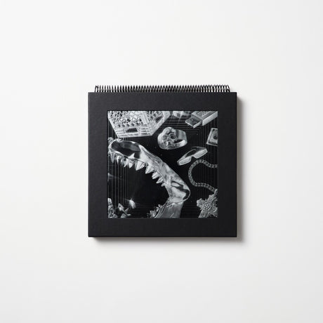 the album cover for Lex XX - Lex XX [180 Gram + Book]