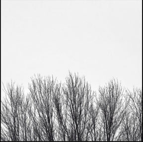 the album cover for Northwoods Improvisers - White Sky