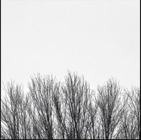 the album cover for Northwoods Improvisers - White Sky