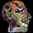 the album cover for Osees - Cara Maluco