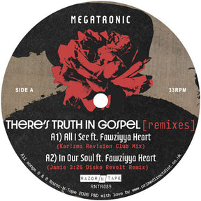 the album cover for Megatronic - There's Truth In Gospel (Remixes)