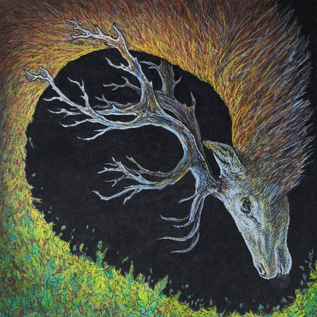 the album cover for Petrels - Infangthief [Digipak]