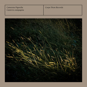 the album cover for Camerata Figarella - Canta In Cumpagnia