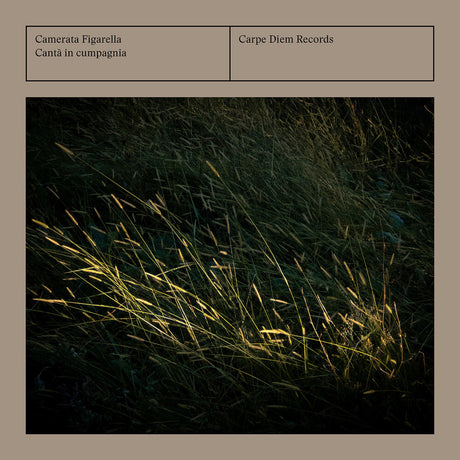 the album cover for Camerata Figarella - Canta In Cumpagnia