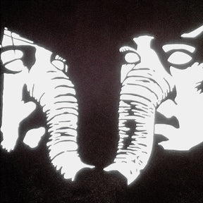 the album cover for Death From Above 1979 - Private Lives [Clear Vinyl] (Gol)