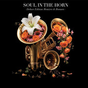 the album cover for Soul In The Horn - Act 4: Deluxe Edition (Remixes & Bonuses)