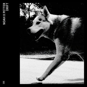 the album cover for Noah X Petter - Drift