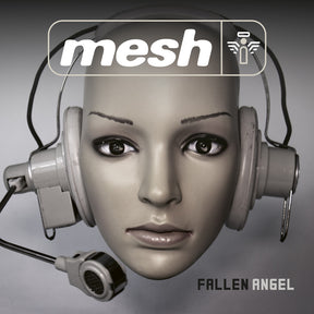 the album cover for Mesh - Fallen Angel