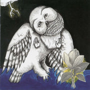 Indie Rock / Pop