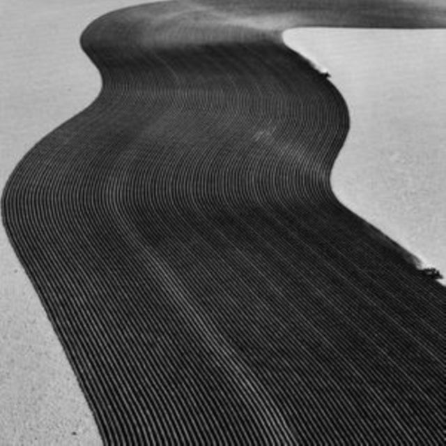 Rainer Veil - Vanity - LP Vinyl