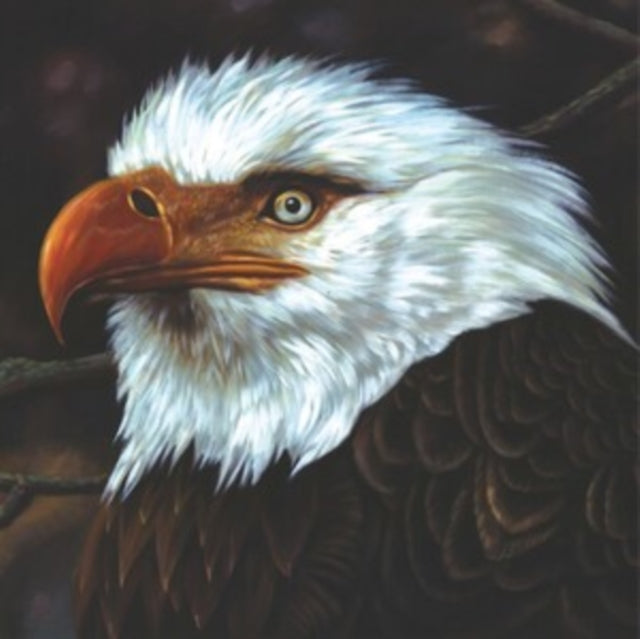 Mogwai - Hawk Is Howling (White Vinyl/Reissue/2LP)