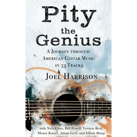 Pity the Genius: A Journey through American Guitar Music in 33 Tracks