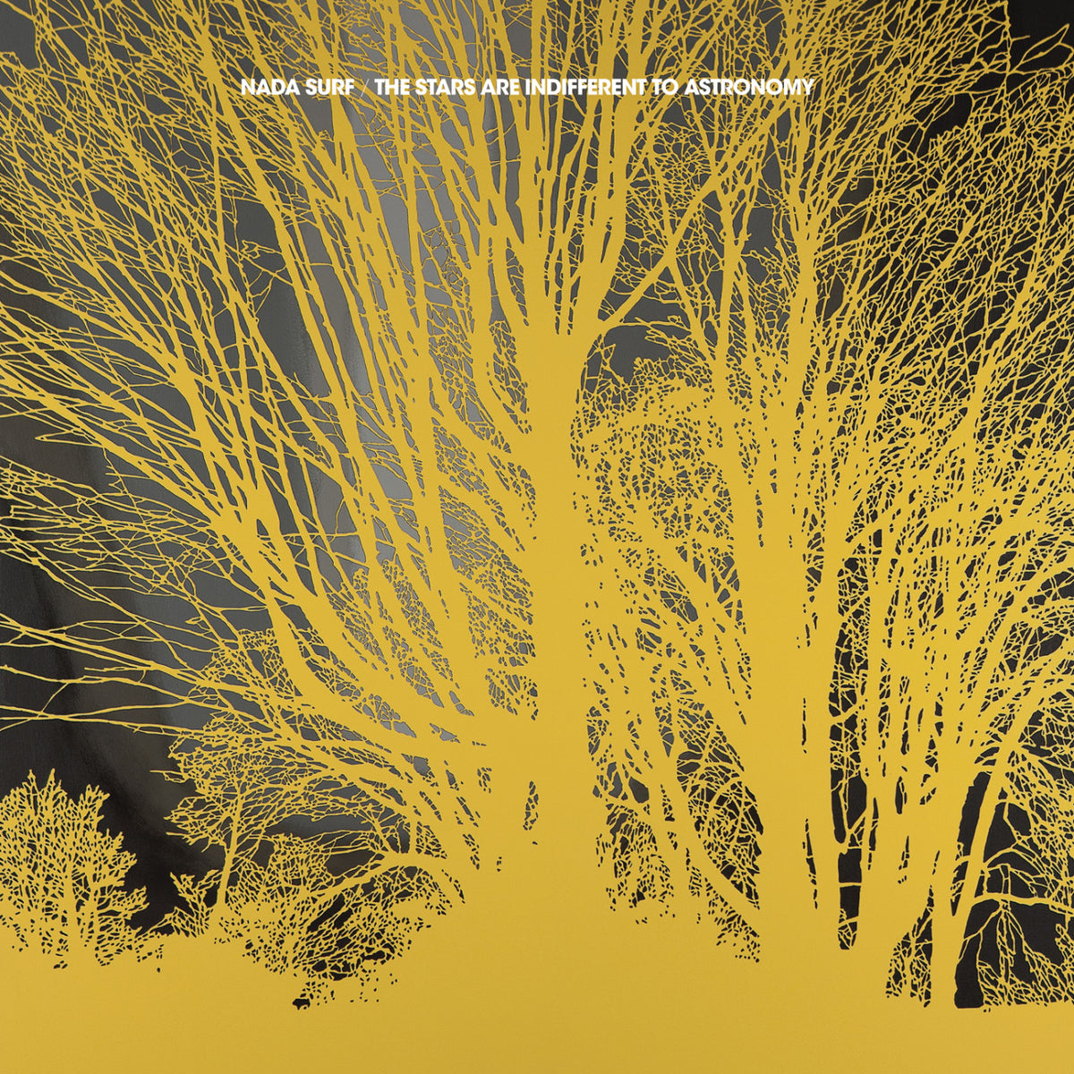 Nada Surf - The Stars Are Indifferent To Astronomy [Vinyl]
