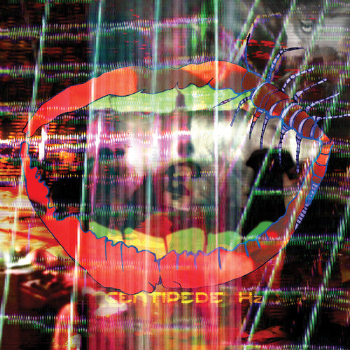 Animal Collective Centipede HZ (Descarga MP3) (2LP) [Discos y LP]