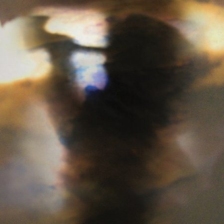 FALL BE KIND (Vinyl)