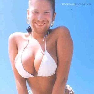 Aphex Twin WINDOWLICKER [Records & LPs]