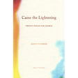 Came the Lightening: Twenty Poems for George