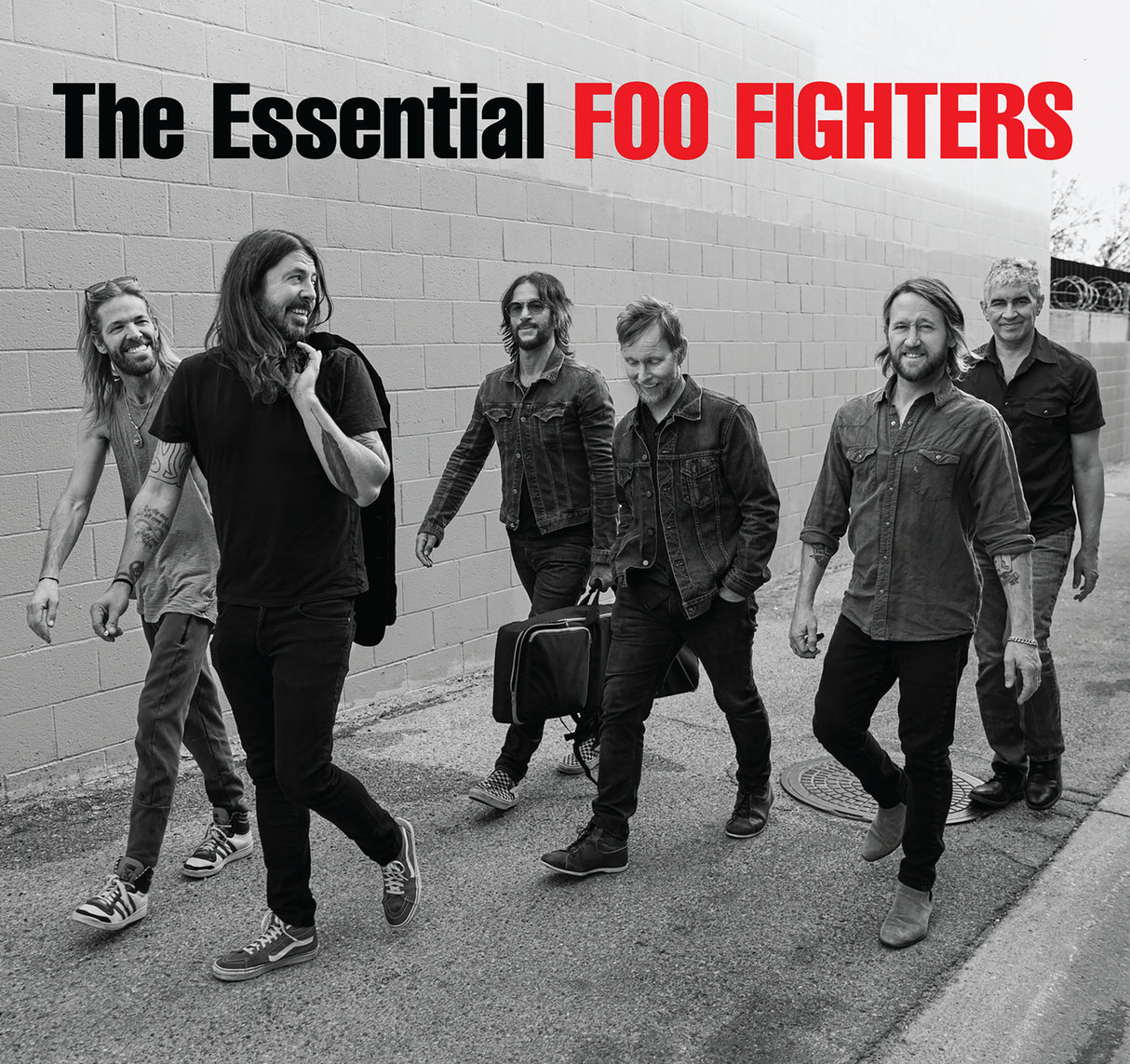 The Essential Foo Fighters (CD)